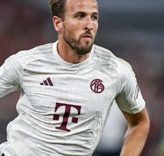 本菲卡也提 本菲卡也提